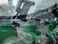 Império Alviverde - IAV Império Alviverde - IAV