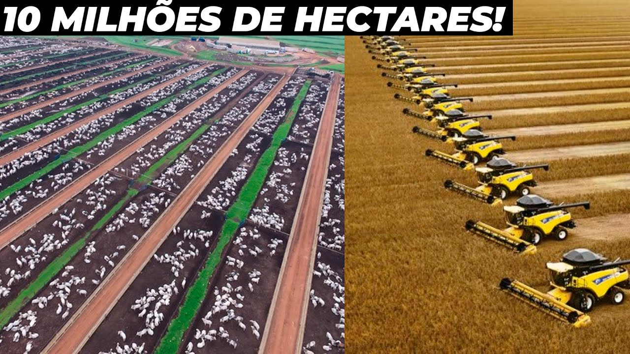 Conheça A Maior Fazenda Do Mundo - Milhões De Hectares!