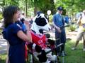 videos de Rocking Cow