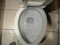 Toilet-Flush