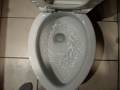 Toilet-Flush