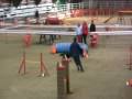 videos de Cayenne Jumping 1 Voghera 040109