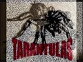 ray carless tarantula walk ray carless tarantula walk