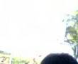 palaro