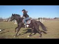 Jumping Course