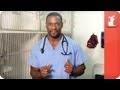 Hot Vet - Bad foods for my dog