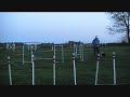 Recall to Heel - Two Jumps - Kota