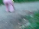 videos de Vrijedna djeca u Turalicima :)