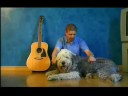videos de Aurelio Grasso Carlo non farlo