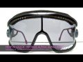 Vintage Snowboarding Alpina Sports Sunglasses: Now Available @ WWW.VINTAGEFRAMESCOMPANY.COM