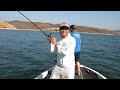 Castaic Lake Stripers