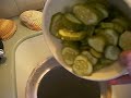 Making Pickles Part VIII