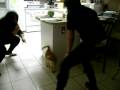 videos de StarwarsWTF
