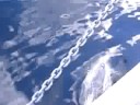 Sailing With Dolphins