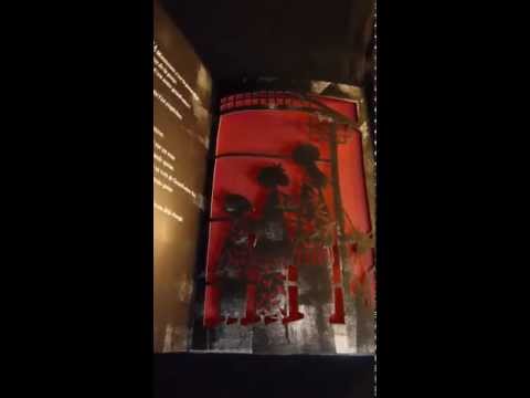Vid�o de Marie Sellier
