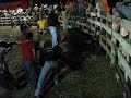 Monta de Toros Costa Rica Monta de Toros Costa Rica
