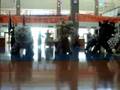 Chinese Celebration