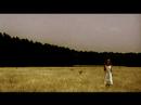 Down [2003]