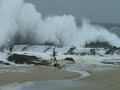 huge waves at snapper!