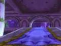 Kal'dorei & Sin'dorei (Night Elves and Blood Elves)