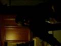 videos de Drug