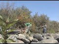 Jet boating Tuolumne River 230 CFS in a Real Jet Ski Jon