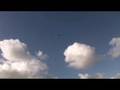 Peregrine Falcon Ridge Soaring