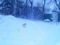 videos de 1st Storm 2008.wmv