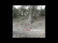 videos de Shed - Estrange 