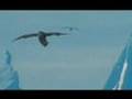 Chukotka Video Compilation