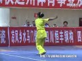 Championnat de Chine 2011 - sélectifs fem.