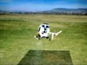 RE-WIRE your AEROFLY SIMULATOR's Transmitter!