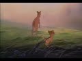 Walt Disney Bambi 3C