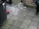 Syto op de schommel