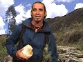 Deja de Pintar: Vamos a Caminar Deja de Pintar: Vamos a Caminar