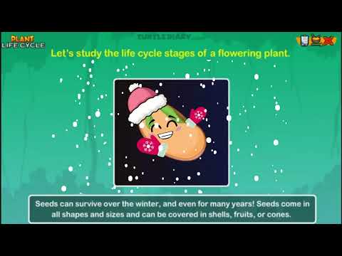 What Is a Seed? *Science in Seconds * TurtleDiary.com