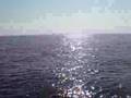submitted by crip on Fri May 9 2008 at 06:44am