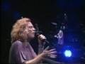 wildfire (1994) - Daryl Hall