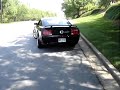 Loud Mustang Loud Mustang