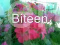 Biteen Jannah