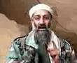 bin laden falando galego