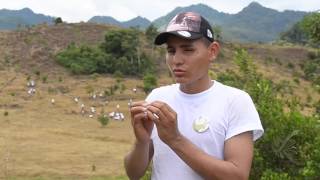 Sembrando Paz en Puerto Pinzón