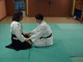 tekagami shodan