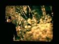 Sigor Ros
