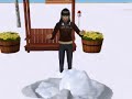 De Sims 2 Winterspecial