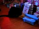 Tori Finds Her Present