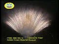 wonderful fireworks showing--monica