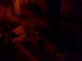 tacleadon al arbolito By: Chuponsito