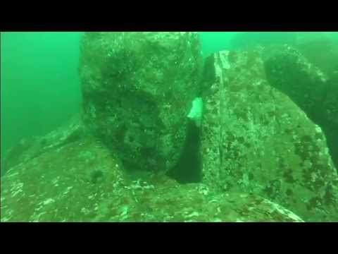 how to fill fsw application