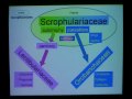 The ICPS World Conference Tokyo 2002 Part 9